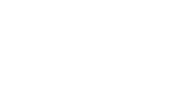 Boxx Auto Detailing